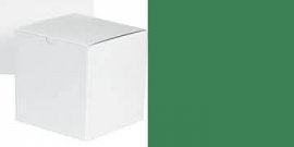 White Gift Box/ Green Tissue Paper